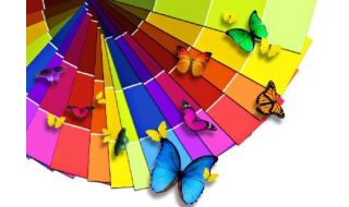 como apostar na vitoria em basquete no bet 365