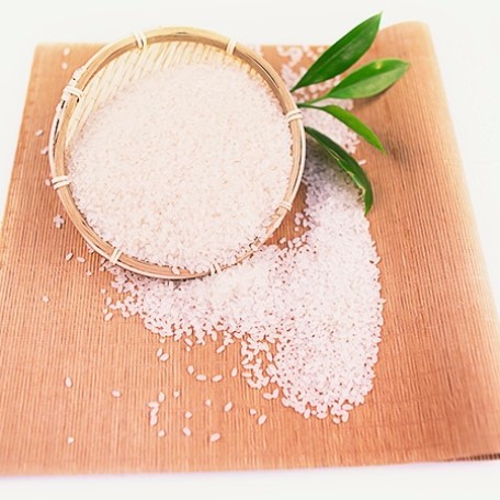 como apostar fort.bet