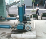 can you bet sports in florida