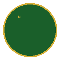 como apostar no f12 bet