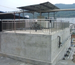 como apostar no bets no campeonato brasileiro