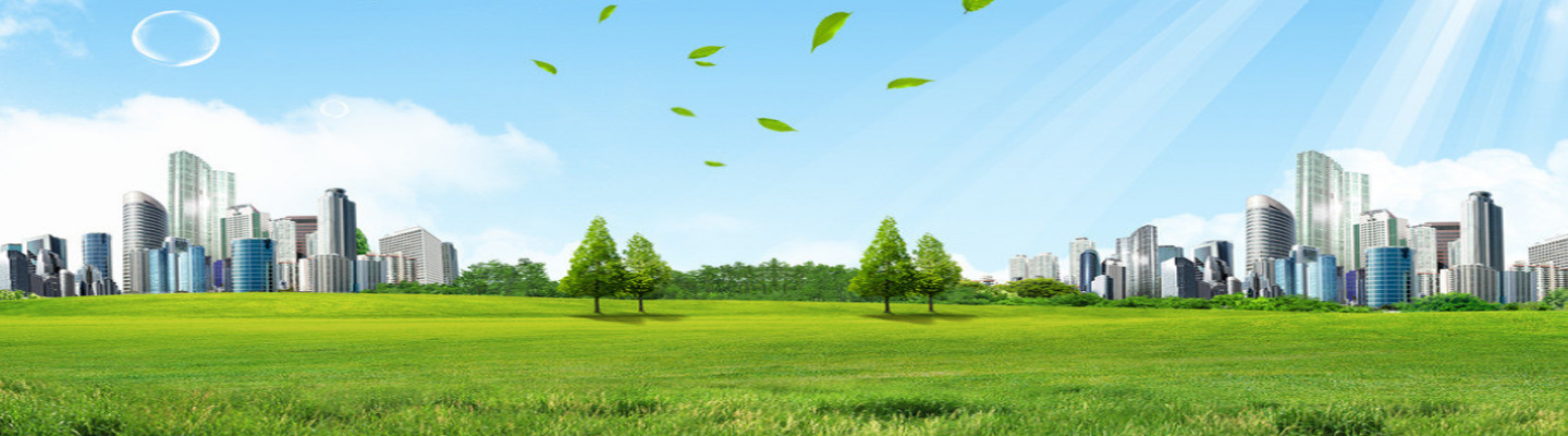 como apostar em cavalos no bet 365