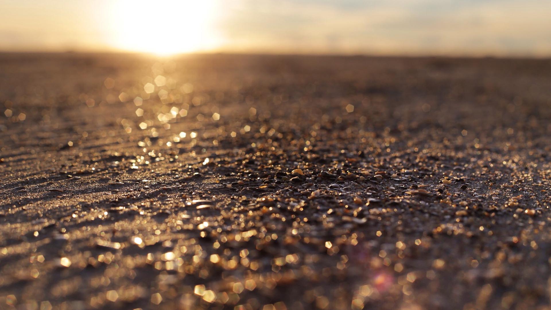 como apostar ontra na bet fair