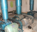 can i bet on sports at 18